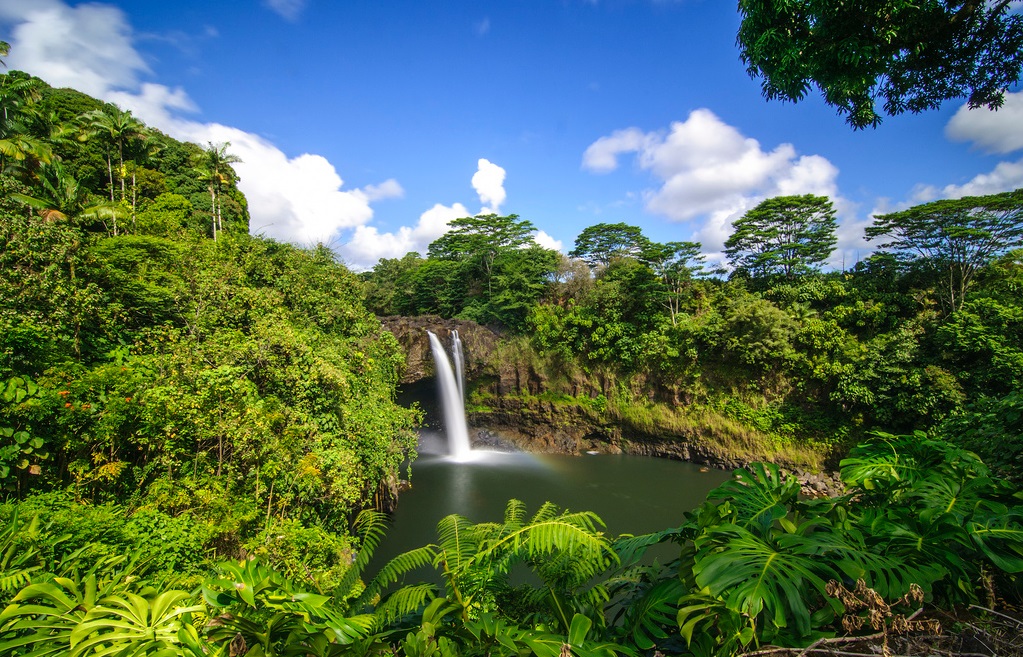 CRUCEROS HAWAI ISLAS DEL PACIFICO HAWAII HILO BIG ISLAND CRUISES